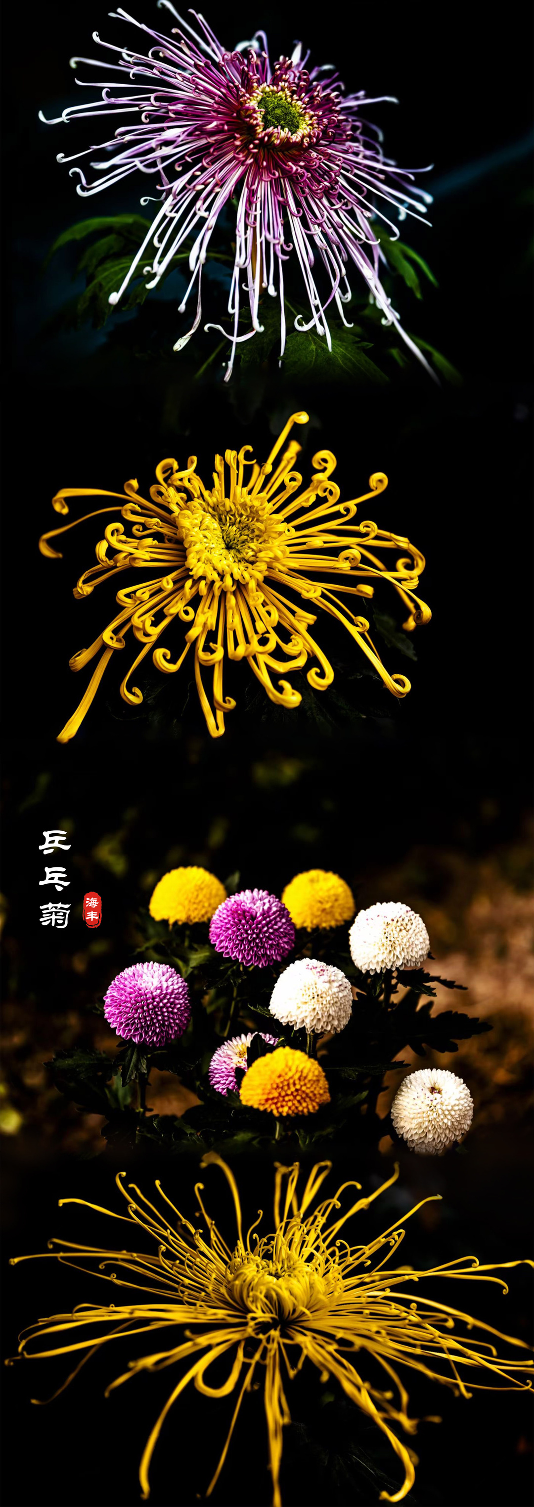 未標題-4.jpg
